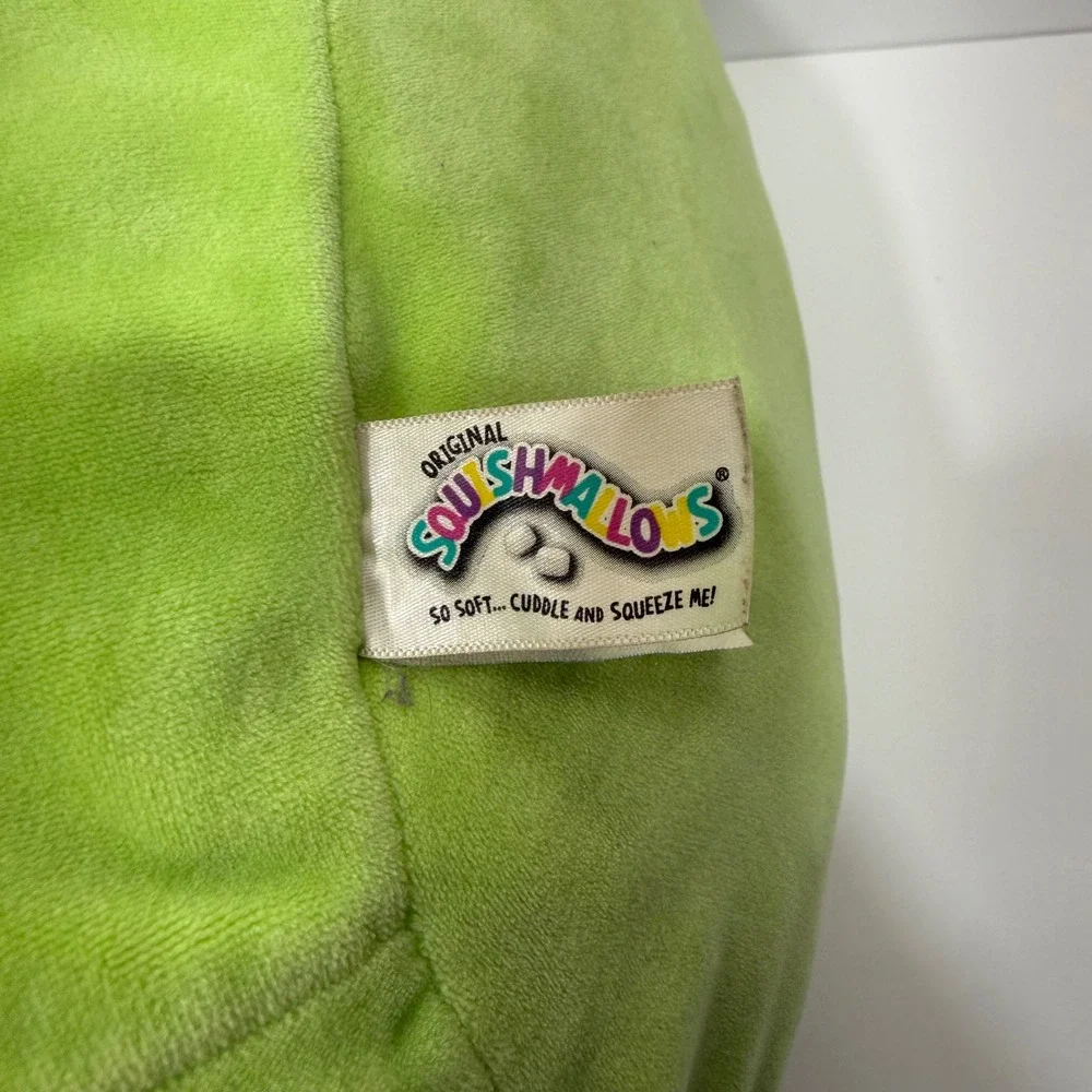 Squishmallows wendy frog